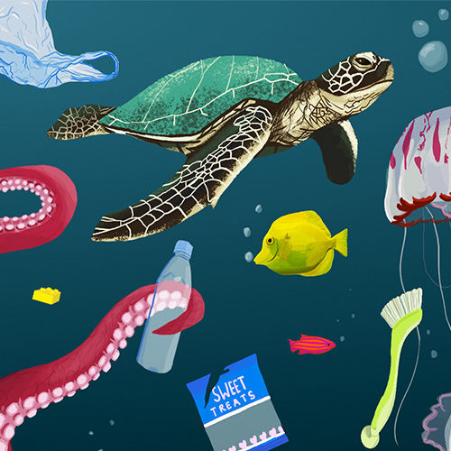 تاثیر پلاستیک بر زیستگاه های آبی